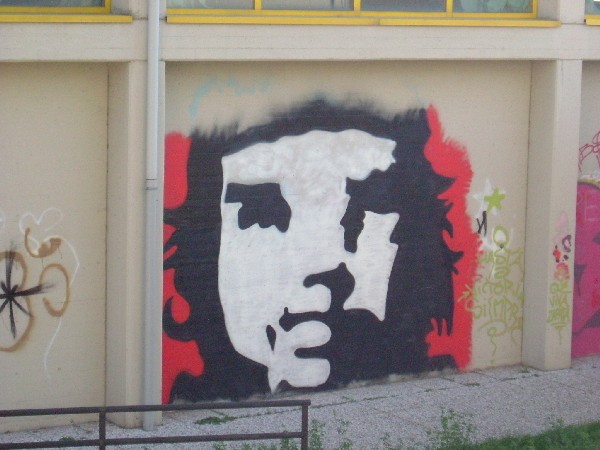 LOSEK  MERATE 2005